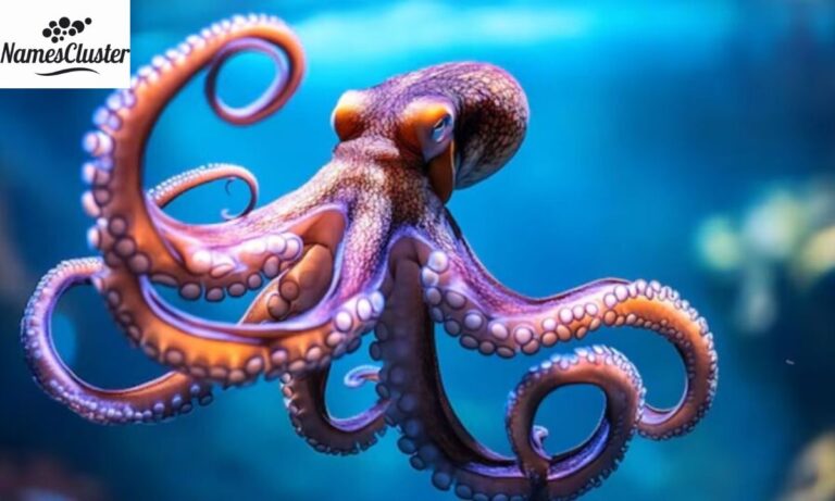 500+ Cute Pet Names for Octopus