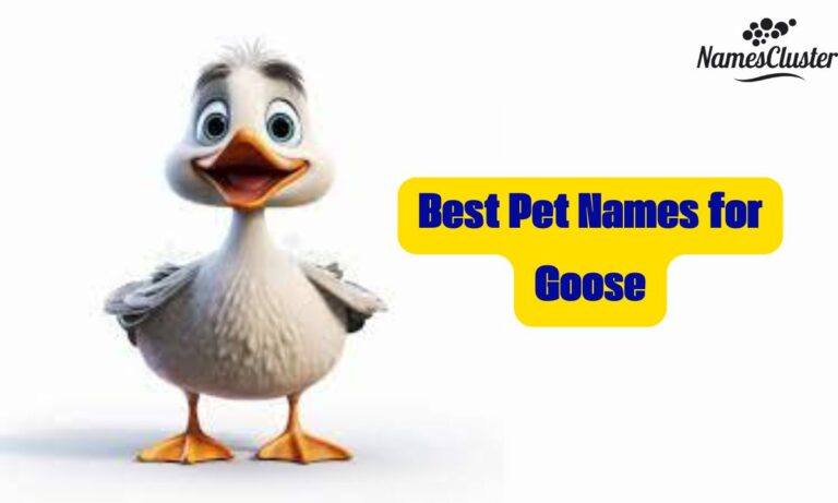 Best Pet Names for Goose