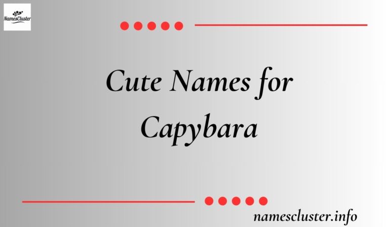 Cute Names for Capybara