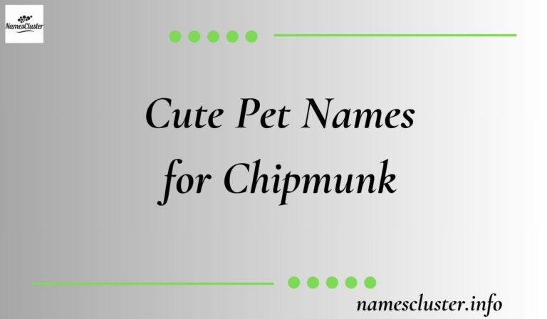 Cute Pet Names for Chipmunk