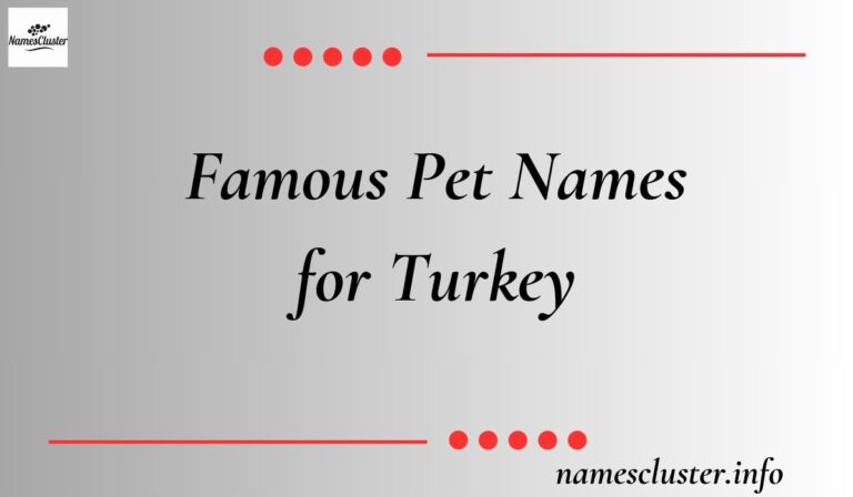 Famous Pet Names for Turkey